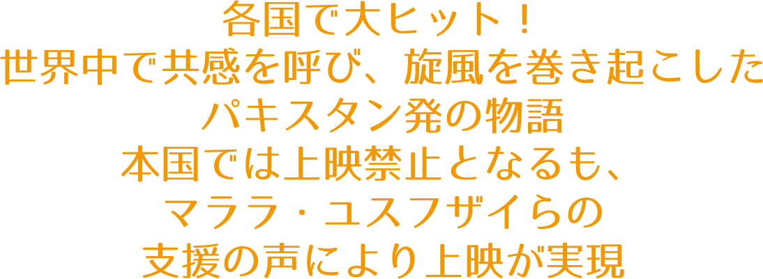 各国で大ヒット！
			世界中で共感を呼び、旋風を巻き起こしたパキスタン発の物語
			本国では上映禁止となるも、マララ・ユスフザイらの支援の声により上映が実現